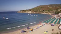 Isla de Elba - Cavoli