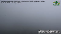 Maibrunn - Las Bawarski