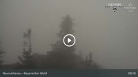 Neureichenau - Třístoličník