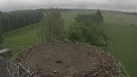 Fráncfort del Óder - Lossow - Cigüeñas