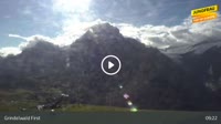 Grindelwald - First