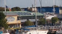 Fiumicino - Tevere - Nautilus Marina