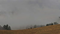Todtnauberg - Vista panorámica
