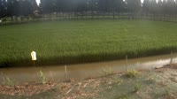 Jurong - Pola uprawne