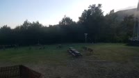 Miniaturansicht