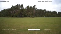 Miniaturansicht