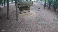 Miniaturansicht