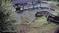 Miniaturansicht
