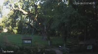 Miniaturansicht