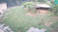 Liubliana - ZOO