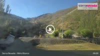 Sierra Nevada - Mirlo Blanco