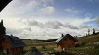 Oberharz am Brocken - Tanne