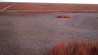 Parque nacional y natural de Doñana - Caño de Rosalimán