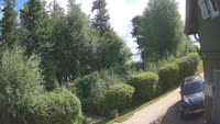 Vignette