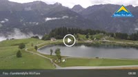 Fiss - Wolfsee