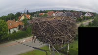 Miniaturansicht