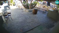 Lloret de Mar - Dr. Döner