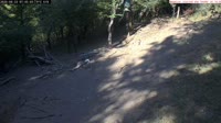 Veszprém - Paukščių tiektuvai