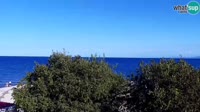 Miniatiūra