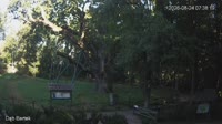 Miniaturansicht