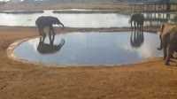 Voi - Park Narodowy Tsavo