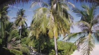 Akasdhoo - Hard Rock Hotel Maldives
