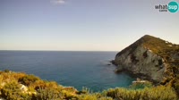 Ponza - Cala Cecata