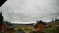 Oberharz am Brocken - Tanne