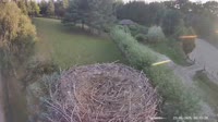 Miniaturansicht