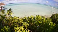 Insel Maamutaa - Pullman Maldives Maamutaa