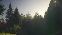 Miniatiūra