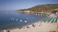 Elba - Cavoli