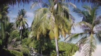 Akasdhoo - Hard Rock Hotel Maldives