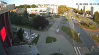 Miniatura