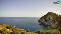 Ponza - Cala Cecata