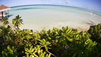 Insel Maamutaa - Pullman Maldives Maamutaa