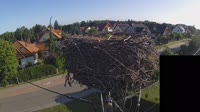 Miniaturansicht