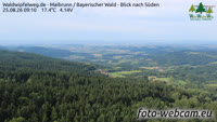 Maibrunn - Waldwipfelweg - Foresta Bavarese