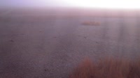 Parco nazionale di Doñana - Caño de Rosalimán
