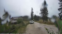 Vignette