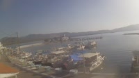 Cervi - Port