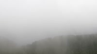 Schneekopf - Selva di Turingia