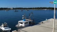 Pag - Novalja - Promenade en bord de mer