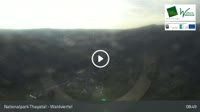 Hardegg - Castello
