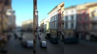Vignette