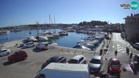 Novigrad - Porporela Marina