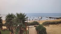 Miniatiūra