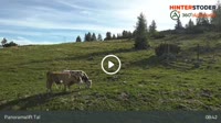 Hinterstoder - Panoramalift Tal - Startplatz West