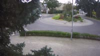 Vignette