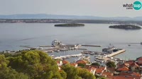 Miniaturansicht